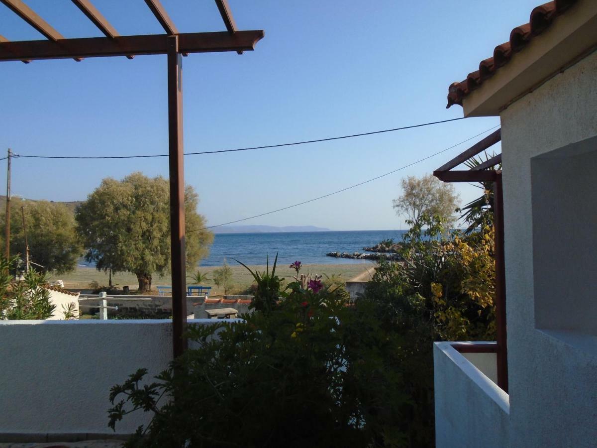Sea Front Two Bedroom House In Lesvos *